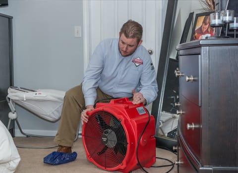 Bed bug heat treatment expertise