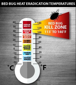 Kill zone temperature of bed bugs during Bed Bug Heat Treatment