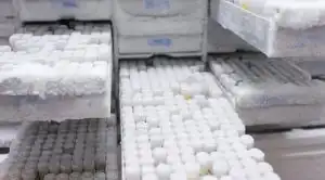 Preventing Cold Chain Failures using Remote Monitoring Systems