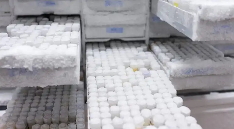 Preventing Cold Chain Failures using Remote Monitoring Systems