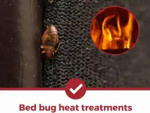 Photo Credit: www.peststrategies.com