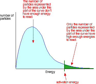 Determining a drugs shelf life