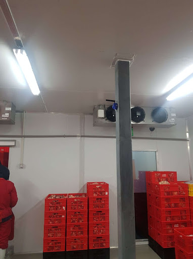 AKCP Dry Contact Sensors 