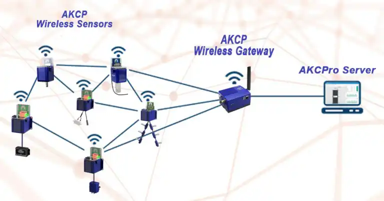 network-e1632365997585-768x402